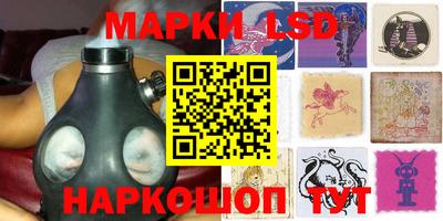 прущие грибы Комсомольск-на-Амуре