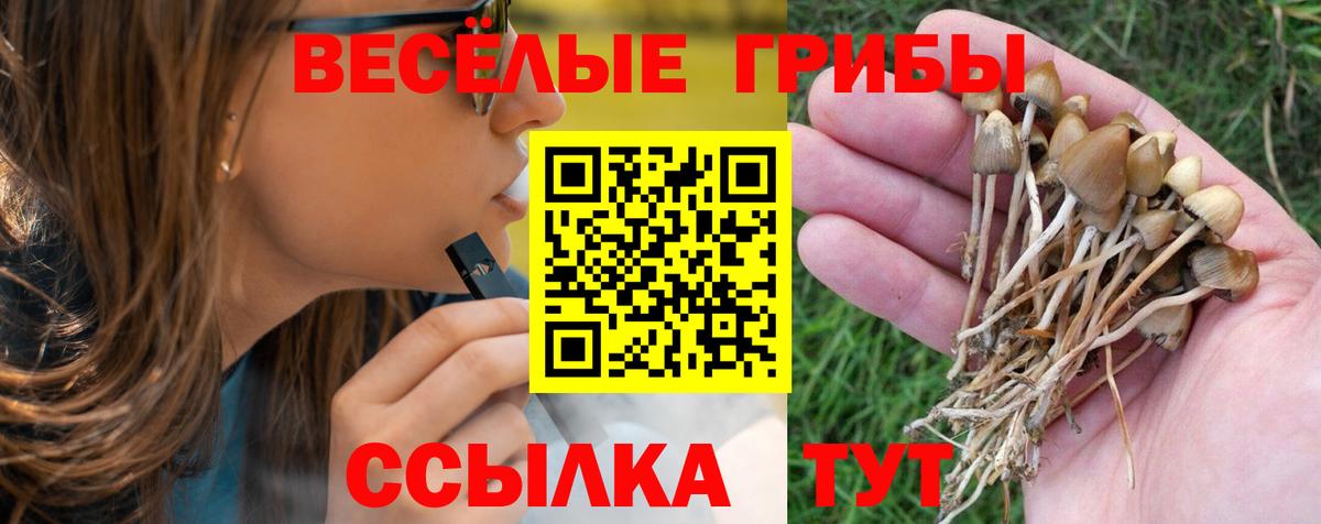 Псилоцибиновые грибы мицелий Карпинск
